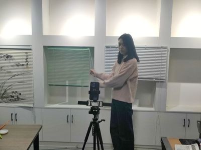 小窗簾撬動(dòng)大產(chǎn)業(yè)，電商連通致富路——窗飾產(chǎn)業(yè)的興旺發(fā)展與電商轉(zhuǎn)型之路